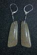 Green Agatized Dinosaur Bone Earrings #4906-1